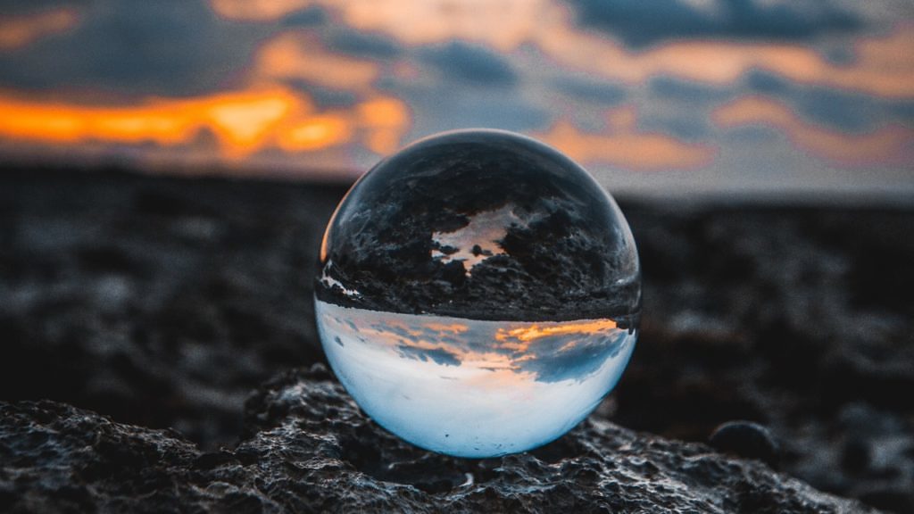 ciclo de vida