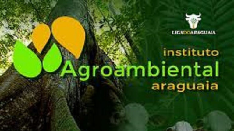 Instituto Agroambiental do Araguaia