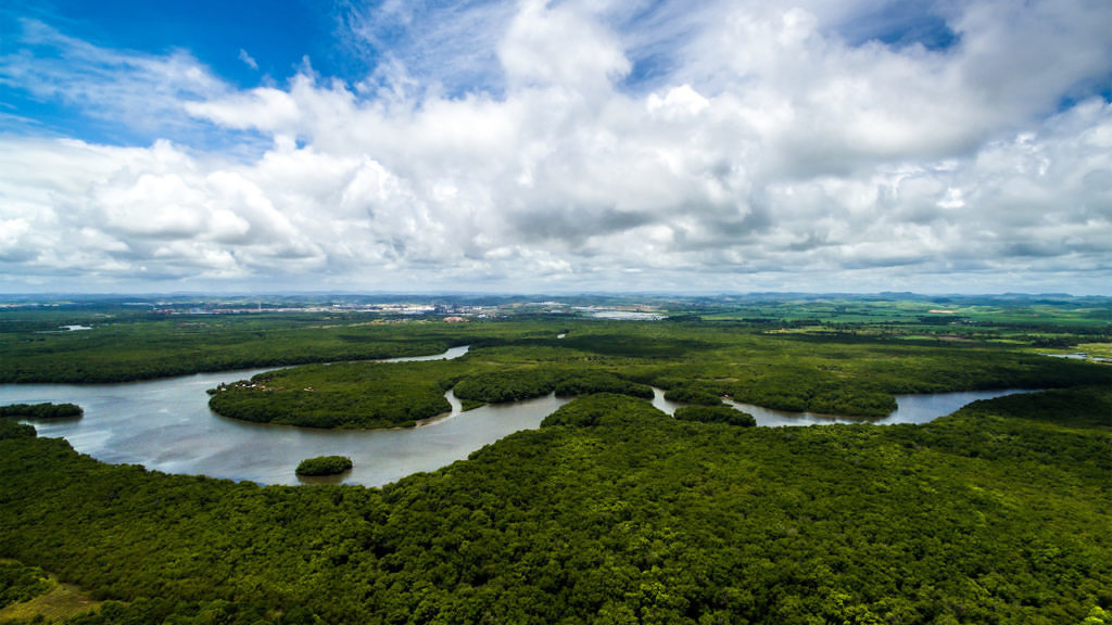 lei geral para o licenciamento ambiental divulgacao canva