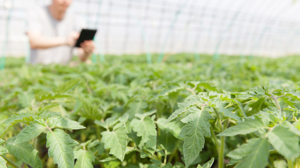 lideranca de alto impacto o agro precisa avancar parte 5