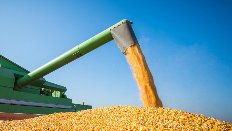 Momento de readequação dos preços do milho