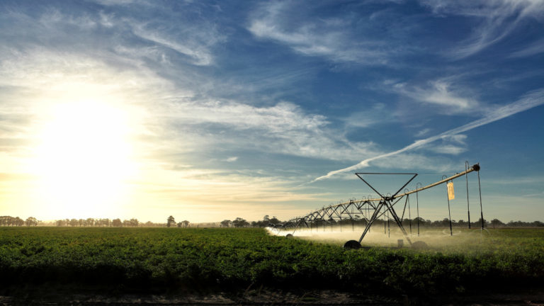 Maior visibilidade à agricultura irrigada brasileira