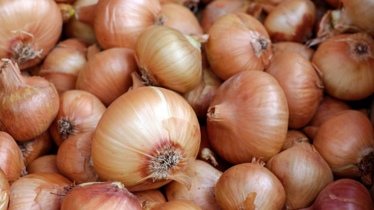 Mercado de cebola no Nordeste
