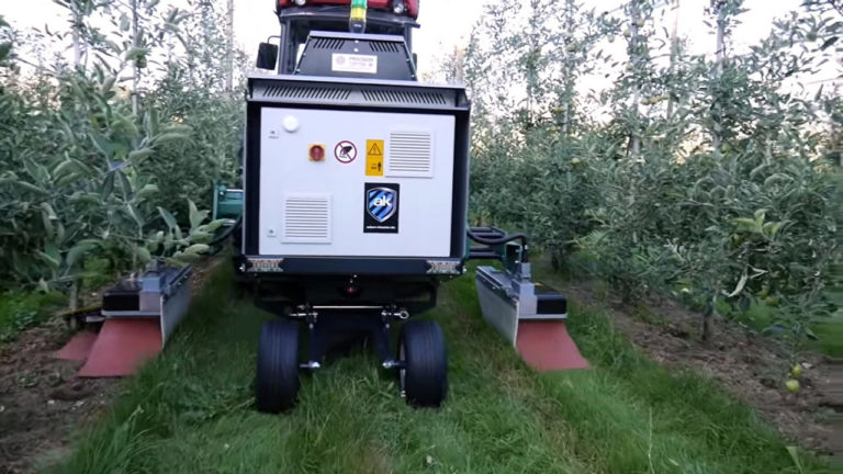 Tecnologia sustentável para controle de ervas daninhas é eficaz na fruticultura