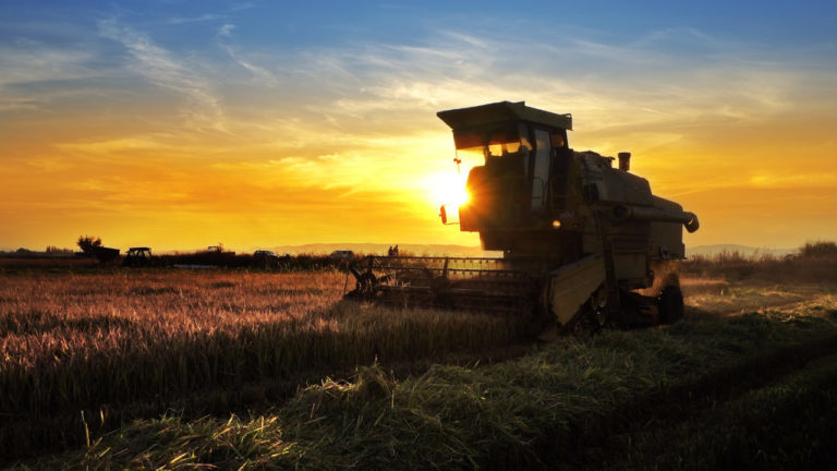 Agro é o único setor que registra alta no número de empregos