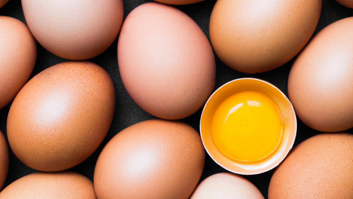 Exportações de ovos mantém alta de 145,1% em 2021