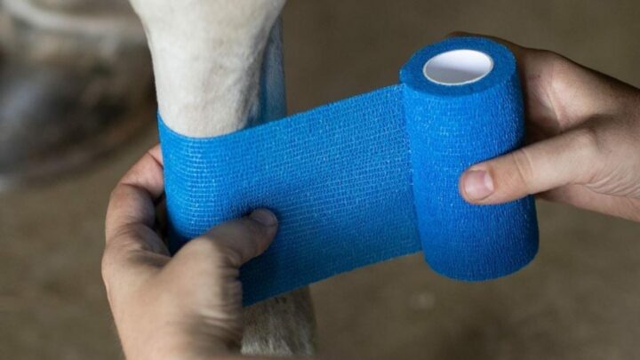 De animais a equipamentos, bandagens Green Rider oferecem suporte e proteção de forma prática, rápida e segura