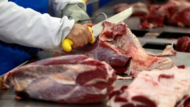 Exportações de carne bovina tem novo recorde