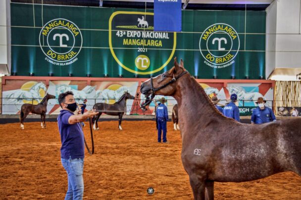 43ª Nacional Mangalarga prossegue até domingo