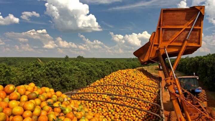 São Paulo reduz do ICMS do suco de laranja