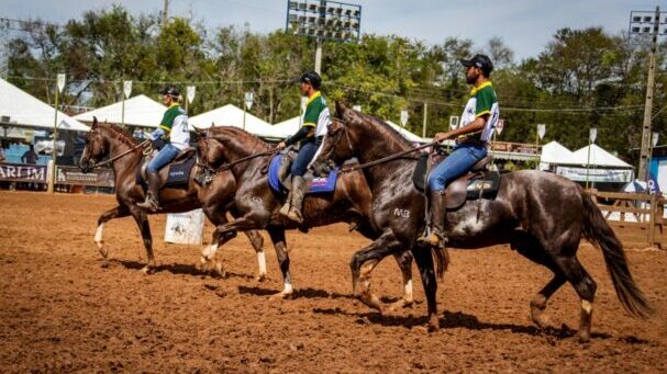 Nacional do Mangalarga acontece em outubro 
