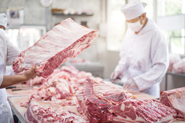 Rússia retomará importação de carnes bovina e suína