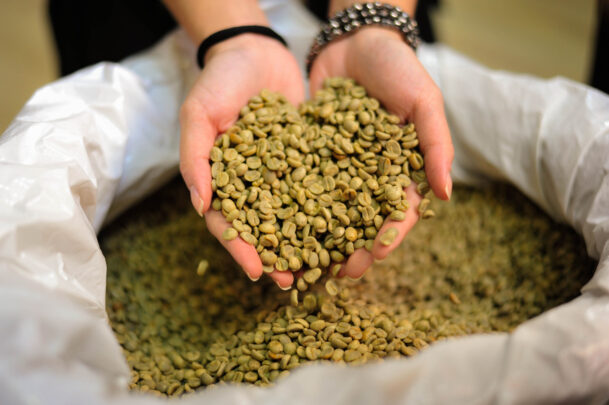 Minas segue como maior produtor de café