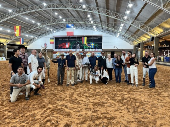 Puro Sangue Lusitano elege os Grandes Campeões de 2021 39a Expo Lusitano F2b Coudelaria Rocas do Vouga Melhor Expositor e Melhor Criador