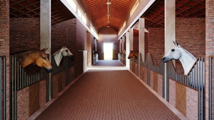 Green Rider oferece servico de consultoria e gestao de construcao de haras