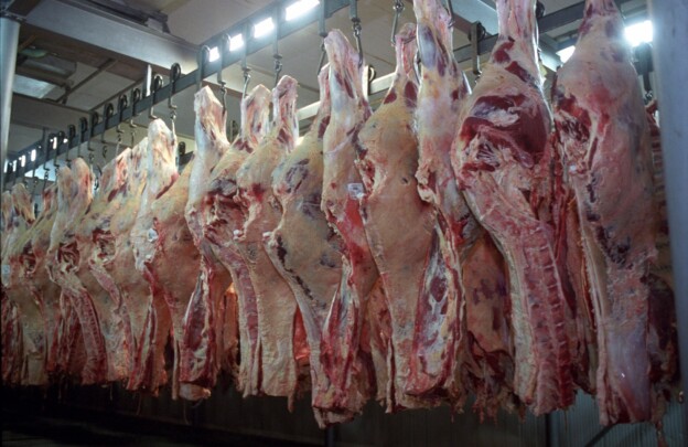 Carne bovina exportada sobe 9% em dezembro