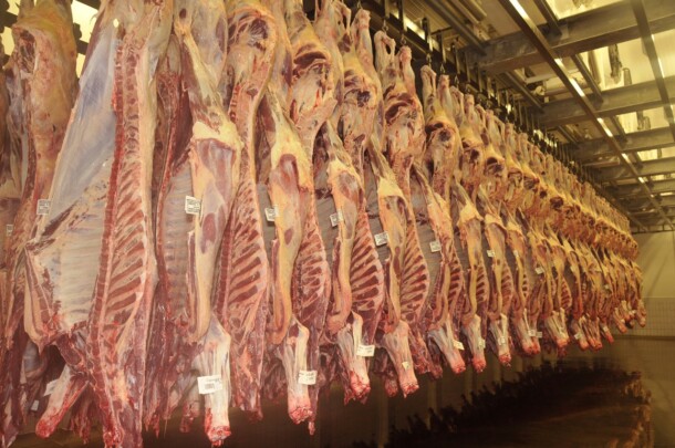 Pior novembro para exportações de carne bovina desde 2016