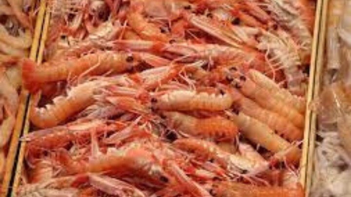 Brasil deveria seguir exemplo do Equador