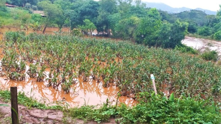 Chuvas em MG prejudicam 119 mil hectares de lavouras