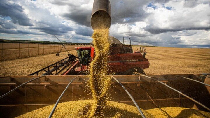 Clima ameaça safra de soja em todo o Brasil