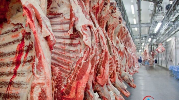 Exportações de carnes crescem 800% em 25 anos