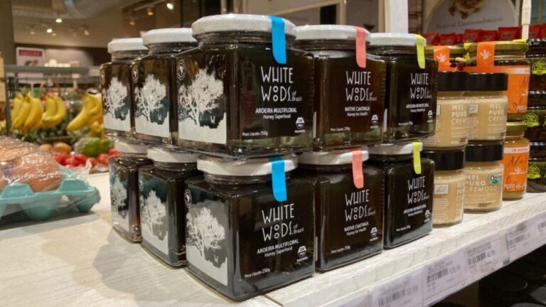 Mel do Norte de Minas Gerais recebe Indicação Geográfica por suas características únicas e terapêuticas