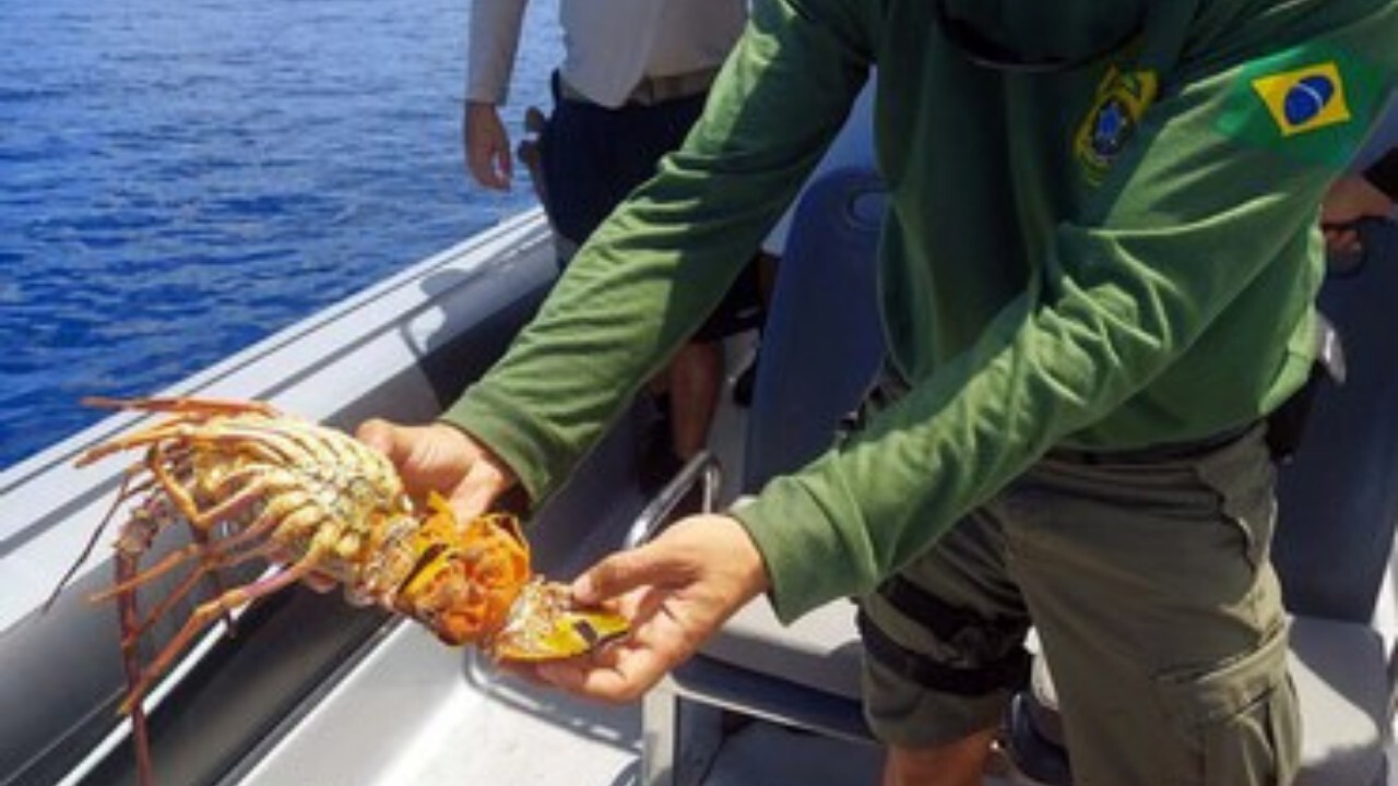 Parabéns para o Ibama do Brasil! O Ibama realizou importante vistoria em areas atingidas por vazamento de oleo no litoral do Ceara. 2