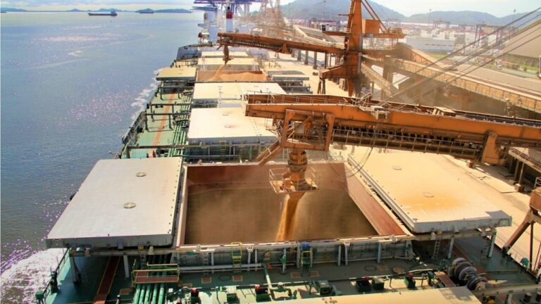 Soja registra recordes de preço no Brasil