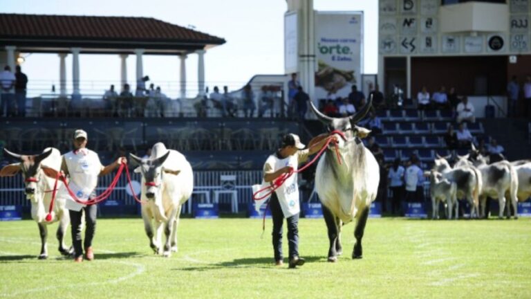 ABCZ lança oficialmente a 87ª edição da Expozebu
