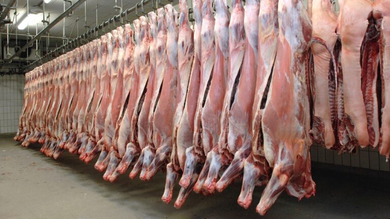 Abatedouros ilegais versus Segurança Alimentar