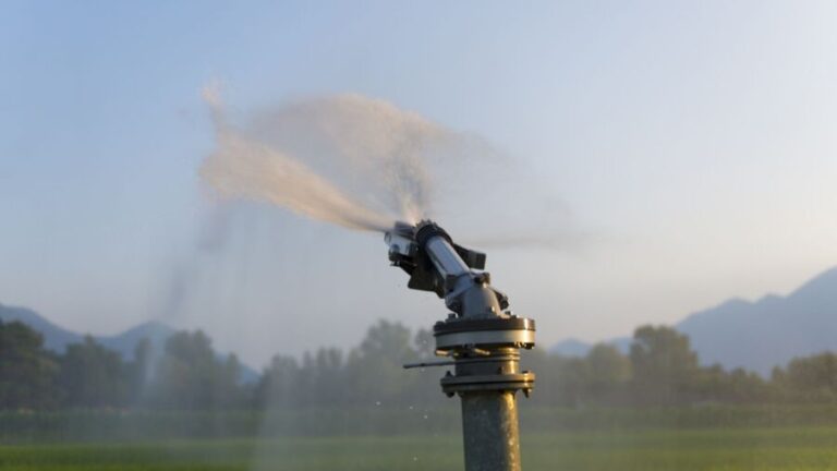Agropecuária do Futuro debate tecnologias e a utilização da irrigação