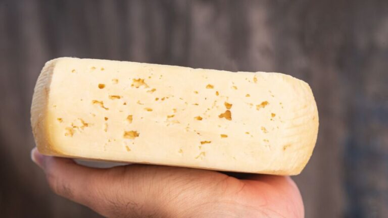 CNA premiará melhor queijo artesanal do Brasil