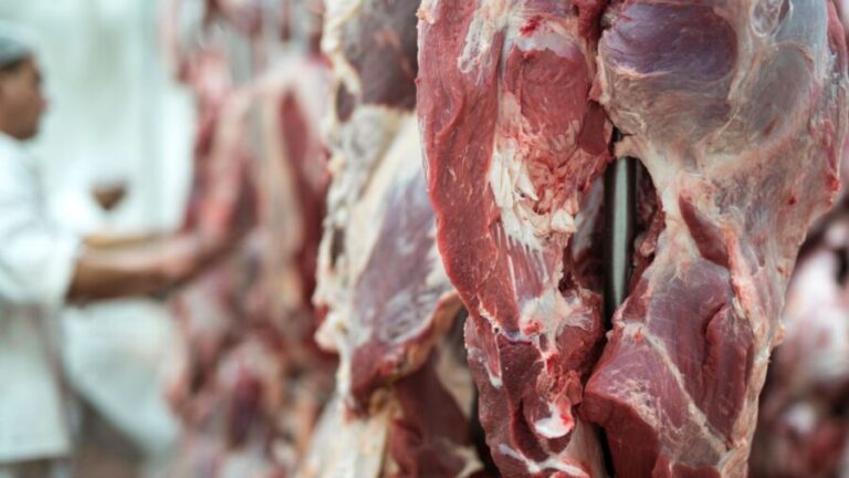 Exportações de carne bovina para China seguirão aquecidas em 2022
