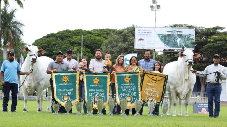 Nelore Casa Branca é premiado na Expoinel Minas 2022