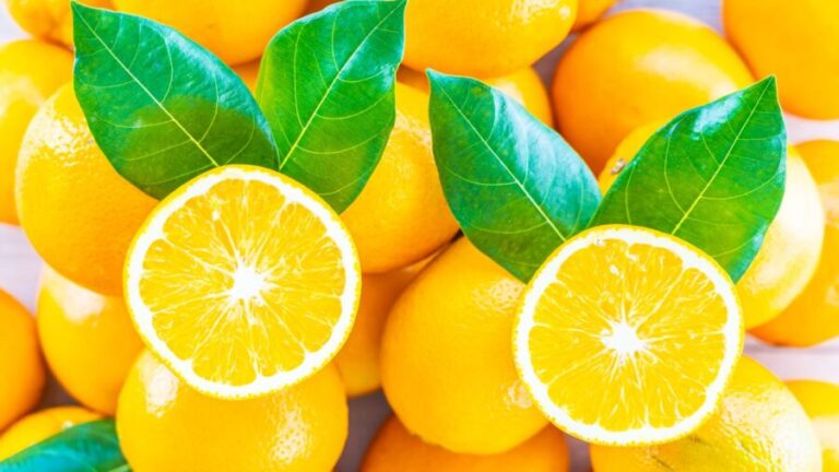 Preço da laranja pera sobe enquanto o valor da tahiti recua