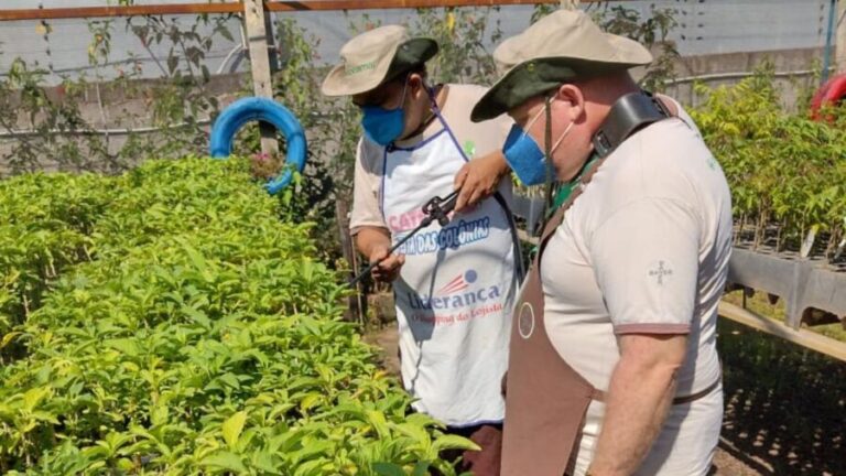 Programa Cultivar completa 16 anos com inclusão e formação de florestas
