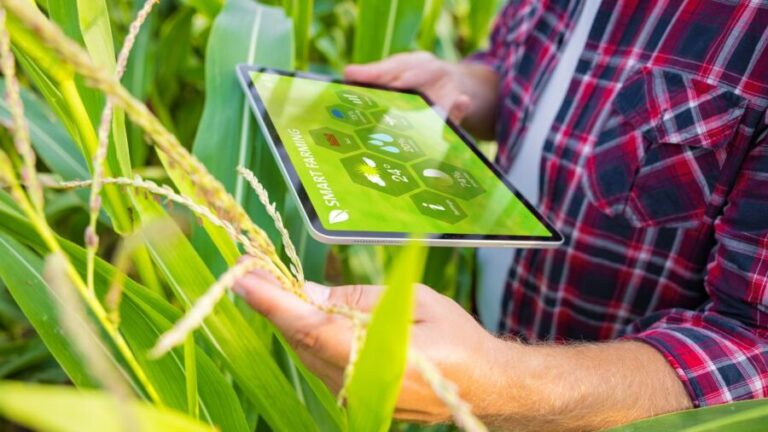 Sistema criado pela Brasil Agrivest é premiado na 2º edição da Agrifutura