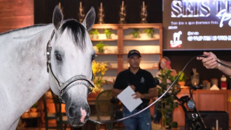 Edição 2022 do Grand Prix Haras Raphaela