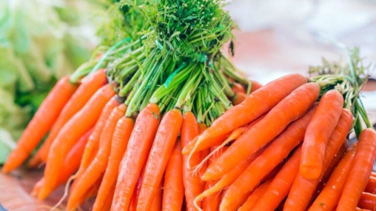 Conab revela efeitos climáticos na oferta de frutas e hortaliças no país