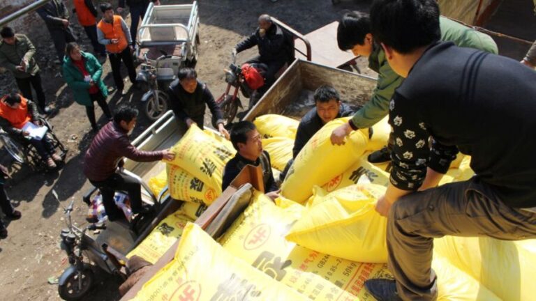 Reforço de fertilizantes das reservas chinesas para o Hemisfério Norte