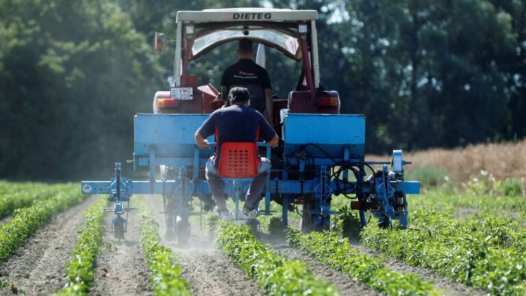 Fertilizantes é uma luz vermelha logo ali na frente