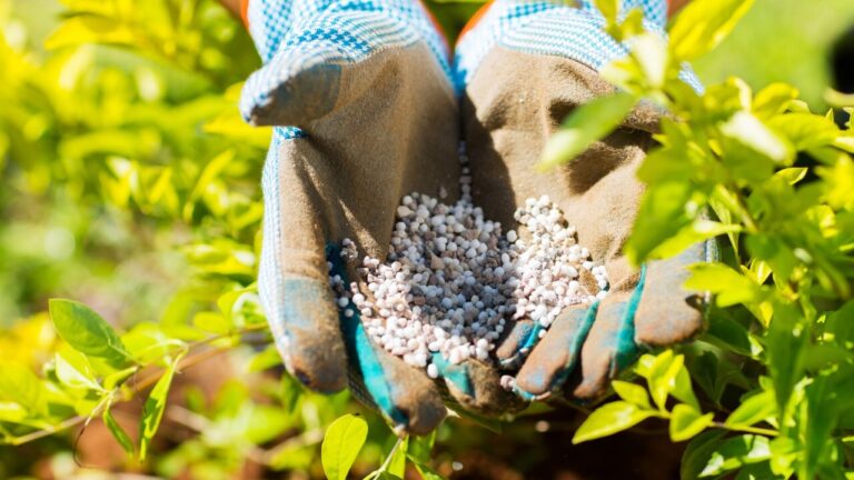 Brasil tem fertilizantes até início da próxima safra