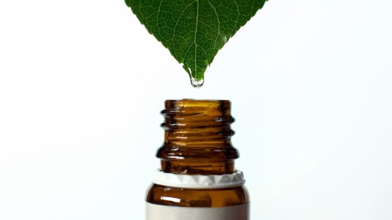 Agricultores de orgânicos recorrem à homeopatia nas lavouras