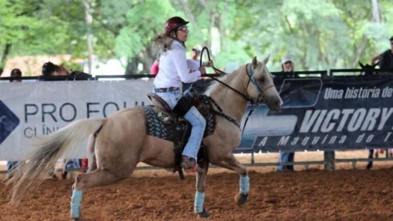 A igualdade através dos cavalos 