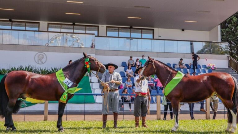 Cavalo Crioulo Primeira seletiva marca o retorno das Exposições Passaportes do ciclo 2022