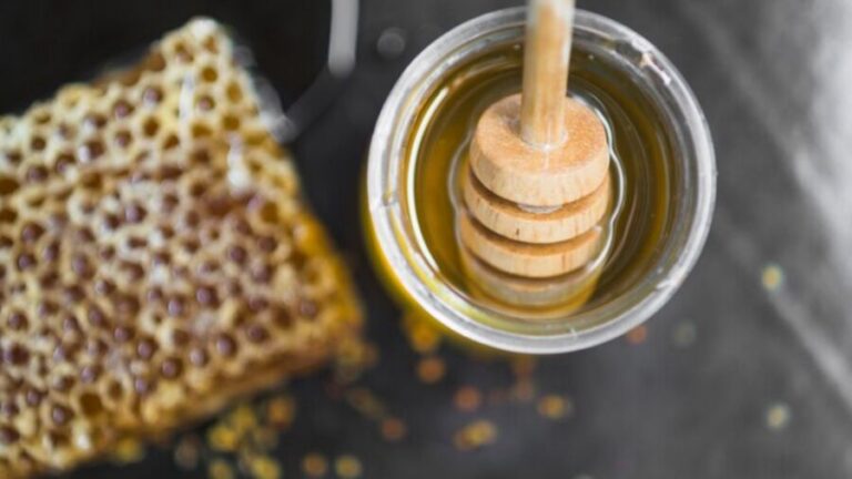 Cooperativa de Pernambuco terá biofábrica de produtos apícolas