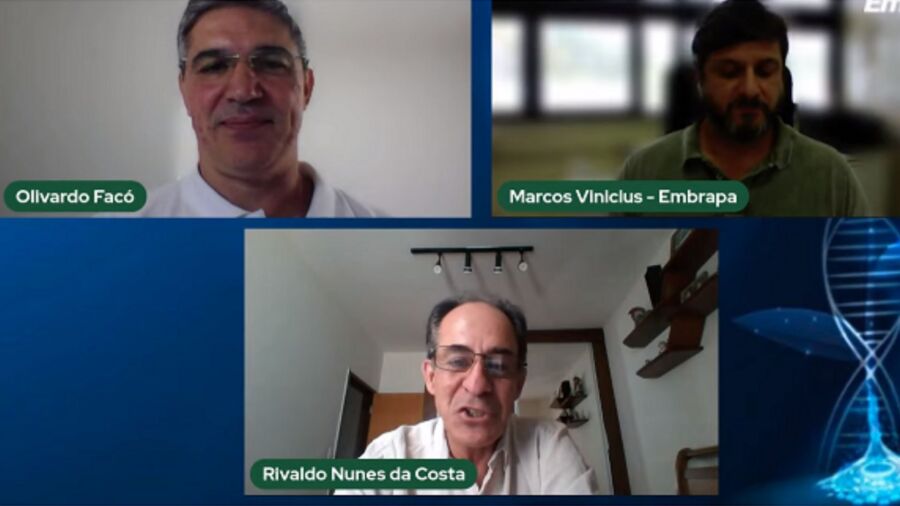 Criadores de caprinos ganham sumario para producao de leite 2
