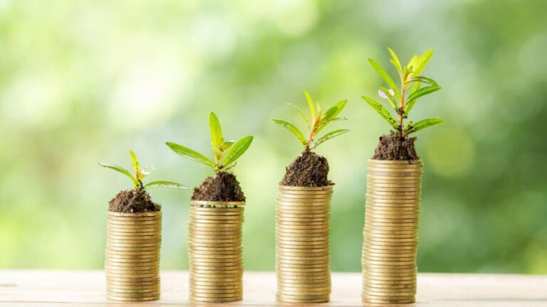 Governo Federal anuncia investimento de R$ 40 milhões para soluções tecnológicas no setor agropecuário