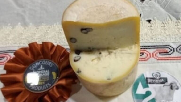 Queijo brasileiro recheado com içá volta a chamar atenção na França