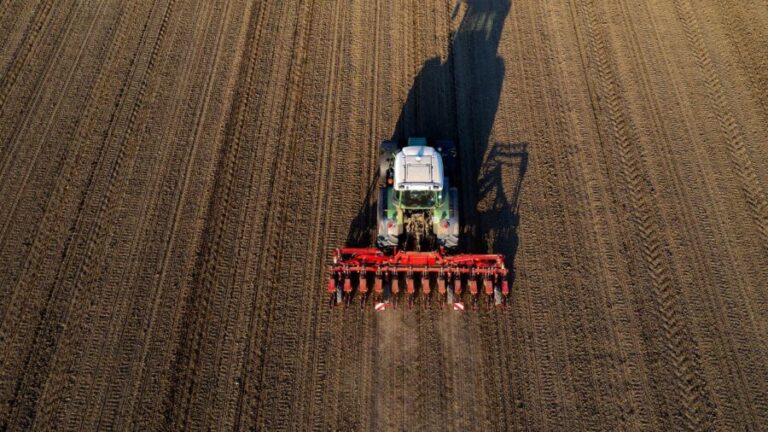 Caminhoneiros na Argentina iniciam greve em momento importante para a safra